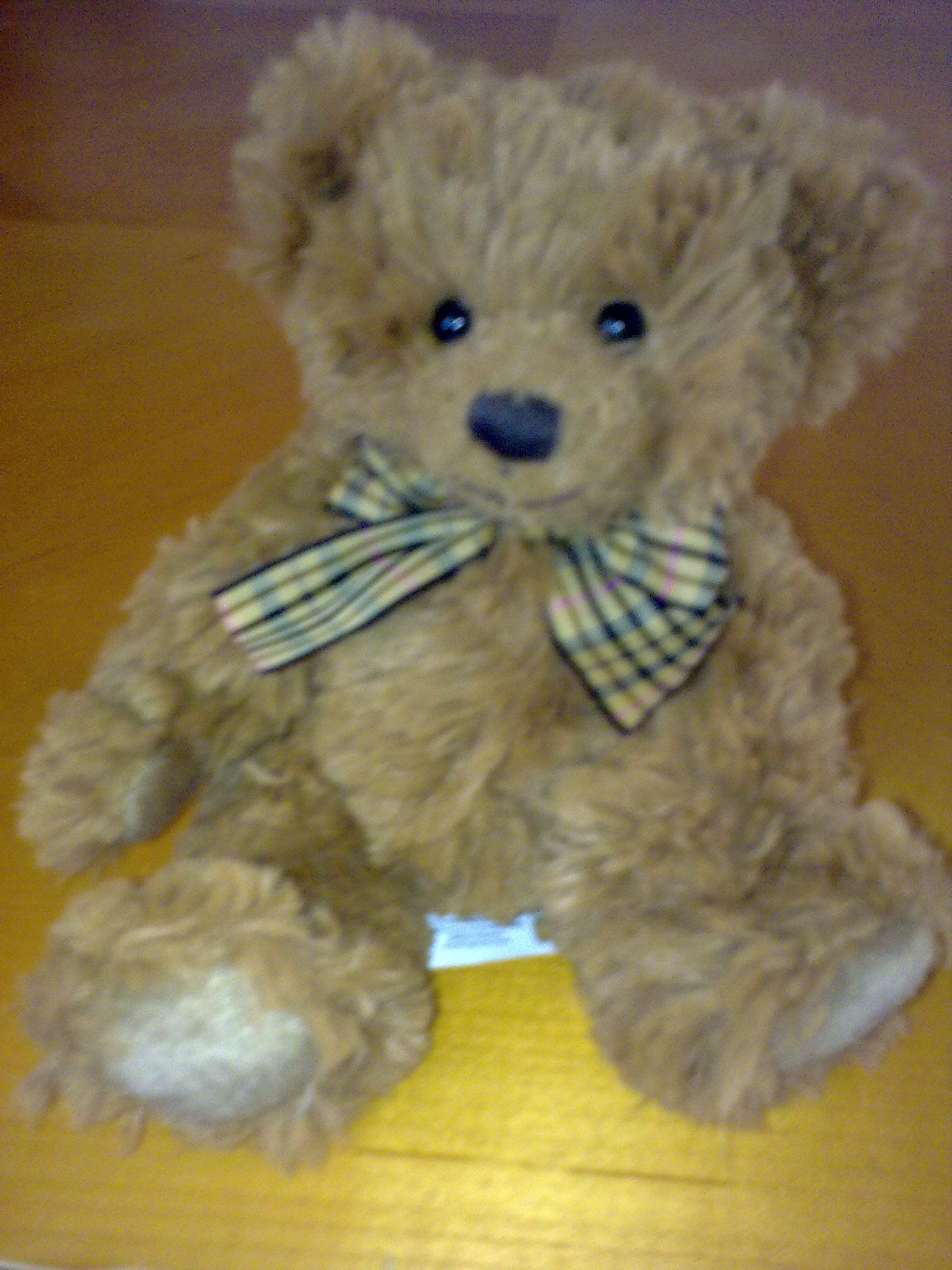 CUDDLY BEAR